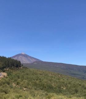 Descubrir La Orotava a través de sus dragos y miradores · foto 15