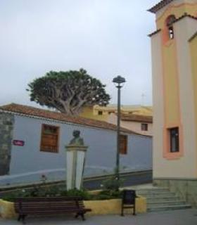 Descubrir La Orotava a través de sus dragos y miradores · foto 9