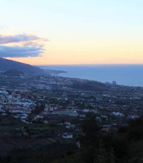 Descubrir La Orotava a través de sus dragos y miradores · foto 3