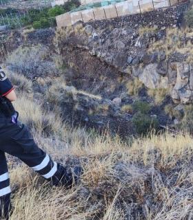 Tacoronte: los dispositivos de búsqueda de Celia Rodríguez se coordinarán desde cada municipio a partir de este sábado · foto 3