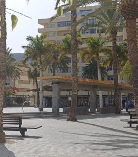 La capital gomera será sede de la segunda edición de la Feria Agrocanarias · foto 1