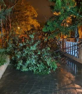Las lluvias en Telde ocasionan el hundimiento de una calle en La Higuera Canaria, fuertes escorrentías que llegan a las playas y cortes de luz · foto 2
