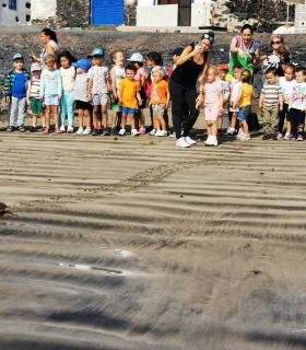 El Ayuntamiento de Antigua colabora en una suelta de tortuga boba en Pozo Negro · foto 1