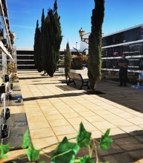 El Cementerio de Antigua embellecido con flores recibe el Día de Todos los Santos · foto 2
