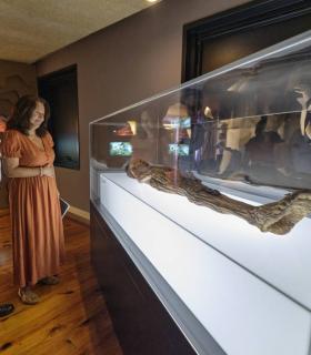 El MUNA presenta la réplica de la momia guanche expuesta en Madrid · foto 2