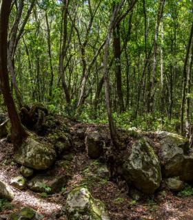 El Cabildo de Tenerife dedica más de medio millón de euros a los senderos y árboles frutales de Teno · foto 2