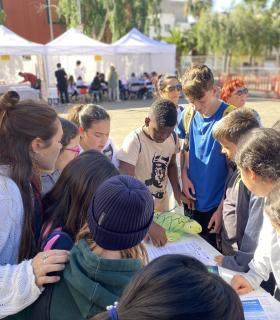 Arona celebra el III Festival de la Ciencia, donde 800 escolares participaron de talleres divulgativos con jóvenes investigadores · foto 1