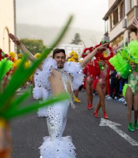 Más de 20.000 personas disfrutaron del Coso Apoteósico en La Orotava · foto 3