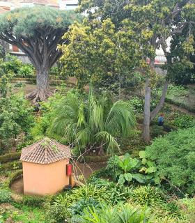 El ayuntamiento recupera el proyecto de sabios y sabias para ofrecer visitas guiadas por la Hijuela del Botánico de La Orotava · foto 2