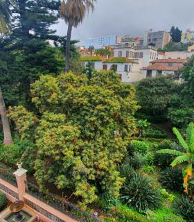 El ayuntamiento recupera el proyecto de sabios y sabias para ofrecer visitas guiadas por la Hijuela del Botánico de La Orotava · foto 3