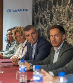 Manuel Domínguez: "El sector turístico palmero se siente abandonado por el Gobierno de Canarias" · foto 1