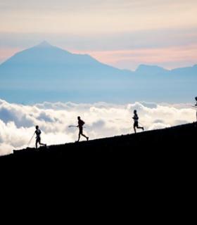 Arranca una Transvulcania  que promete dar espectáculo · foto 4