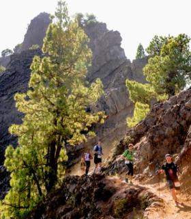 Arranca una Transvulcania  que promete dar espectáculo · foto 1