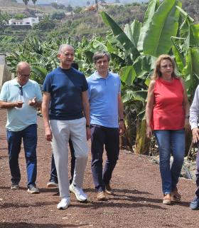 Valido defenderá el cultivo del plátano y a sus trabajadores "donde sea necesario" · foto 1