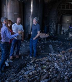 Gobierno, Cabildo y ayutamientos de Tijarafe y Puntagorda trabajan en un plan de acción agrícola para prevenir futuros incendios · foto 1