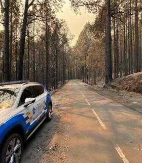 El Puesto de Mando Avanzado de Lomo Pelado coordina el combate contra las llamas en el flanco de La Esperanza · foto 5