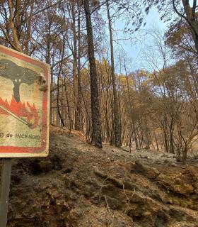 El Puesto de Mando Avanzado de Lomo Pelado coordina el combate contra las llamas en el flanco de La Esperanza · foto 3