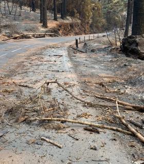 El Puesto de Mando Avanzado de Lomo Pelado coordina el combate contra las llamas en el flanco de La Esperanza · foto 1