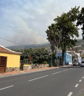 Finaliza el realojo en Santa Úrsula de las personas evacuadas por el incendio · foto 2