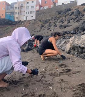 La Concejalía de Playas organiza una limpieza de choque con voluntarios en Palos y San Borondón · foto 4