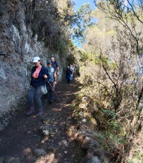 La séptima ruta del programa "Patean2023" lleva a 50 senderistas desde la Cruz del Carmen a Punta del Hidalgo · foto 1