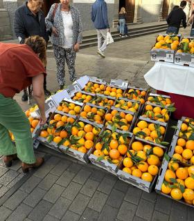 Más de 15.000 personas disfrutan de la XIII Feria de la Naranja de Telde · foto 6