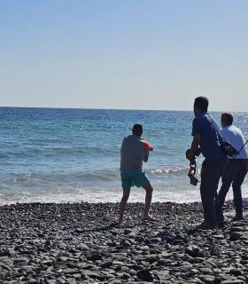 Retirada del cetáceo varado en Pozo Negro · foto 2