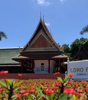 Loro Parque, Siam Park y Poema del Mar: destinos preferidos por los turistas en 2023 · foto 3