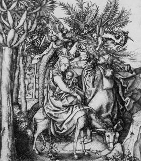EL ÁRBOL DE LA VIDA DEL JARDÍN DE LAS DELICIAS O EL DRAGO CANARIO DEL BOSCO · foto 2