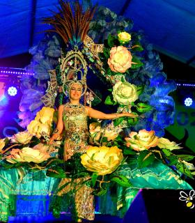 Gala Elección Reina del Carnaval 2024 de la Piñata Chica de Tacoronte · foto 37