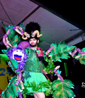 Miss Mosto 2024 - Piñata Chica de Tacoronte · foto 57