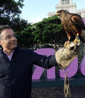 Un halcón sobrevolará Santa Cruz, de forma controlada, para disuadir a las palomas · foto 2