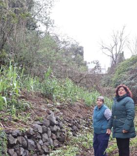 El Ayuntamiento de Tacoronte mejora el barranco Granados, en la zona de Hoya Machado · foto 3
