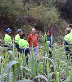 El Ayuntamiento de Tacoronte mejora el barranco Granados, en la zona de Hoya Machado · foto 1