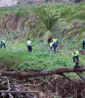 El Ayuntamiento de Tacoronte mejora el barranco Granados, en la zona de Hoya Machado · foto 2