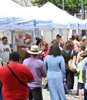 La Fiesta del Queso 2024 cosechó un rotundo éxito en su primera edición celebrada hoy en el casco de Guía · foto 10