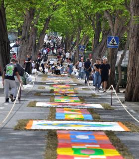 Corpus Christi 2024 Tacoronte · foto 43