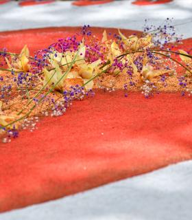 Corpus Christi 2024 Tacoronte · foto 50