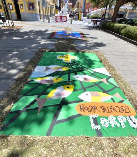 Corpus Christi 2024 Tacoronte · foto 65
