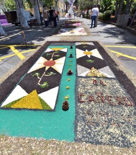 Corpus Christi 2024 Tacoronte · foto 71