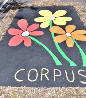 Corpus Christi 2024 Tacoronte · foto 102