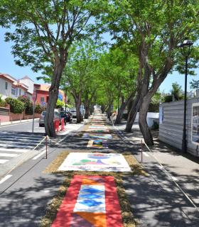 Corpus Christi 2024 Tacoronte · foto 135
