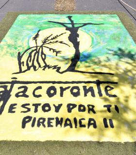 Corpus Christi 2024 Tacoronte · foto 145