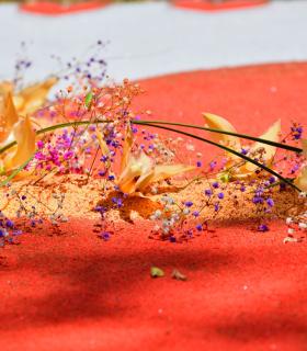Corpus Christi 2024 Tacoronte · foto 176