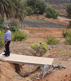 Nace en Antigua el primer ejemplar en el mundo de Chocolate de Algarrobas · foto 2