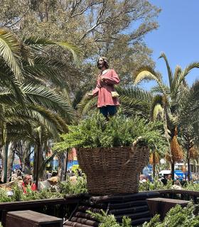 Más de 5.000 personas disfrutan de la romería de Los Llanos de Aridane · foto 2