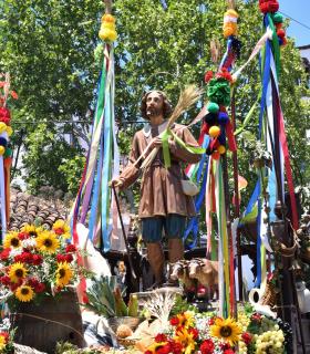 Tacoronte honra a San Isidro con una multitudinaria romería · foto 11