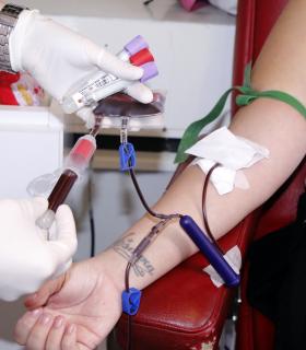 Tacoronte recibe un nuevo punto itinerante de donación de sangre · foto 1