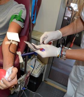 Tacoronte recibe un nuevo punto itinerante de donación de sangre · foto 2