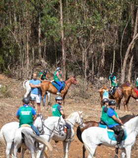 Casi 40 jinetes protagonizan la II Sortija de Caballos de La Esperanza · foto 2